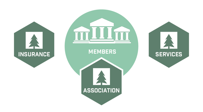 Evergreen Insurance Co. Member Structure