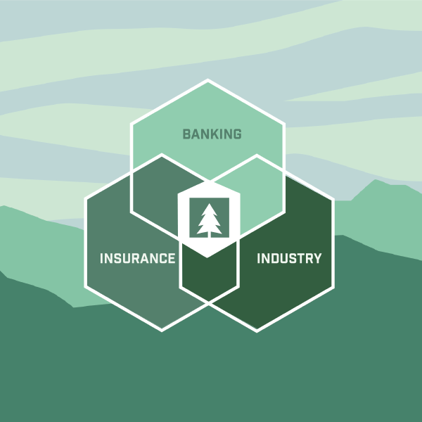 Evergreen Insurance Co. Banking Industry