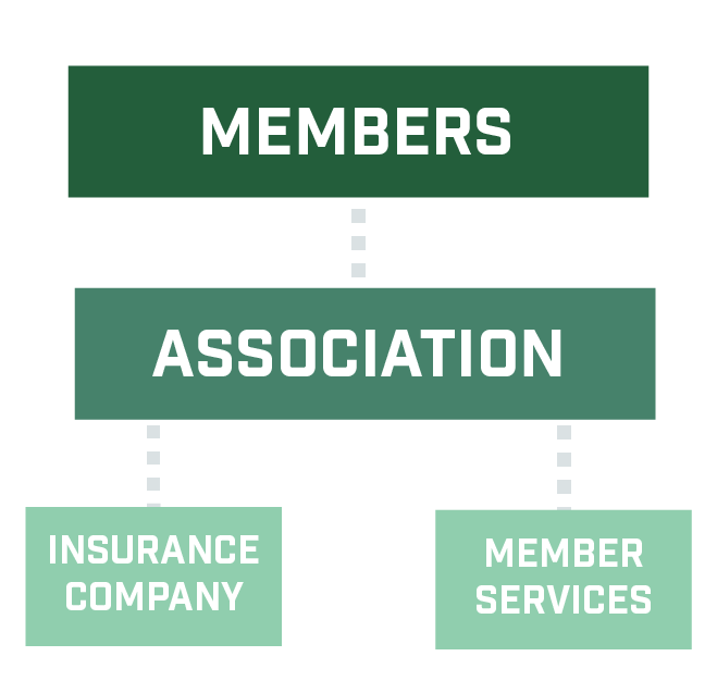 Structure of Evergreen Insurance Co. is member owned